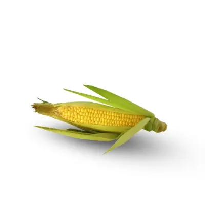 Sweet Corn 1 Piece
