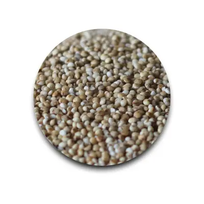 Kodo Millet - Harka |  Hand Pounded 500 gm