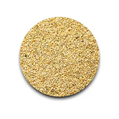 Little Millet | Same 500 gm
