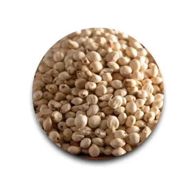 Jowar 500 gm