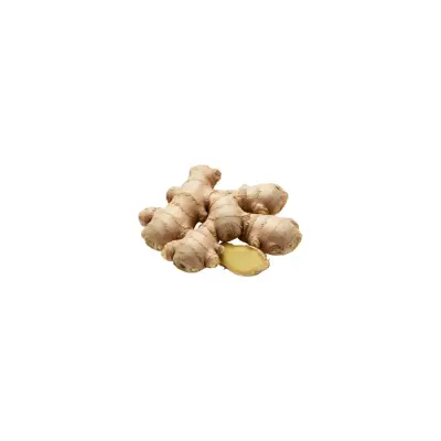 Ginger (New)