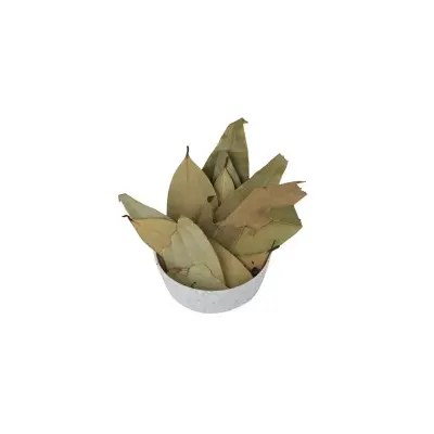 Bay Leaf