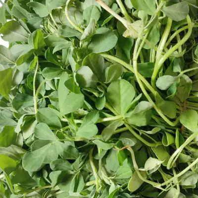 Methi Leaves / Menthya