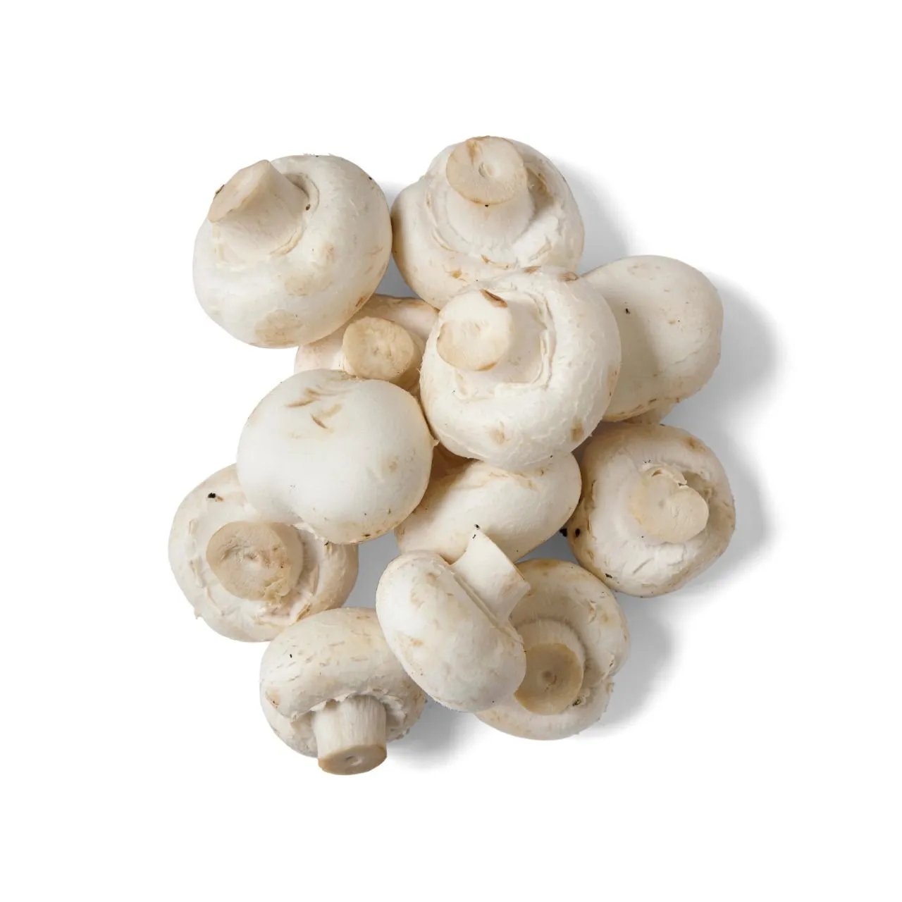 Mushroom Button