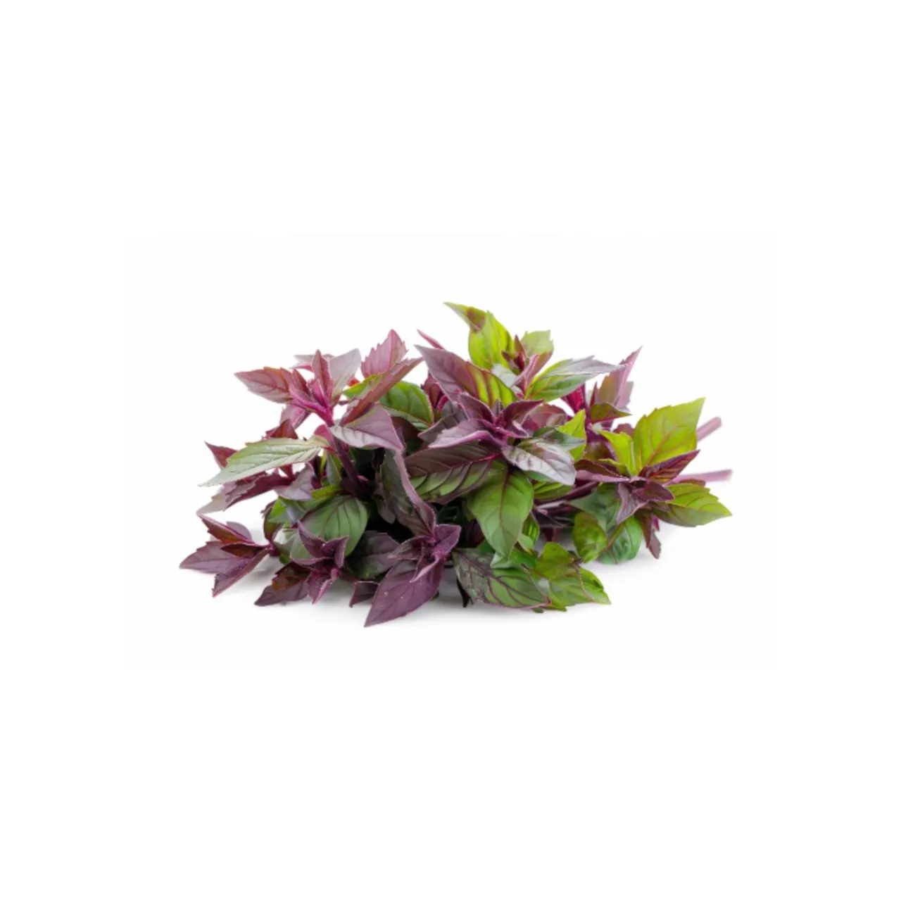 Dantu Amaranthus Red 1 Bunch