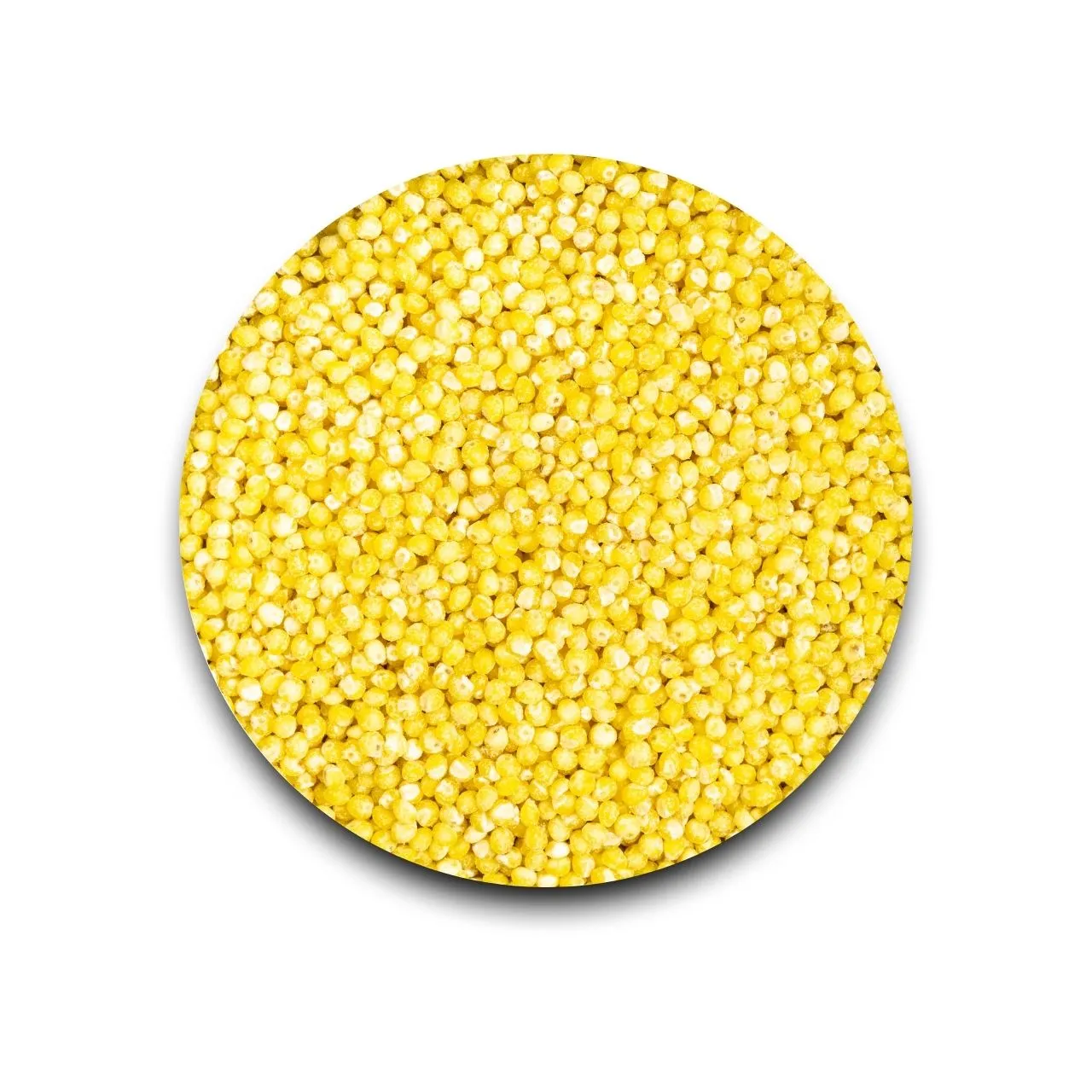 Proso Millet | Baragu 500 gm
