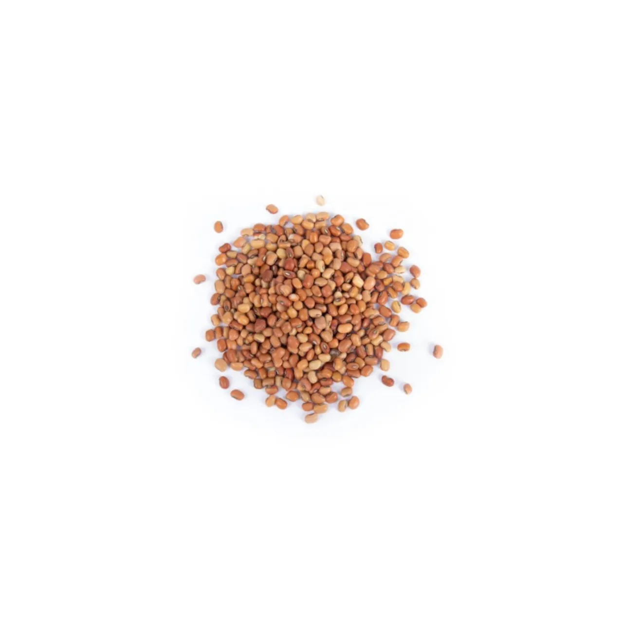 Cowpea (Red) - 500 gm