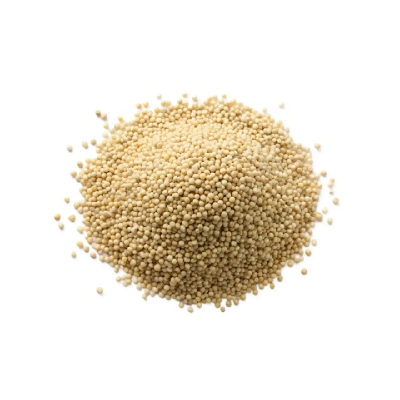 Quinoa Seeds
