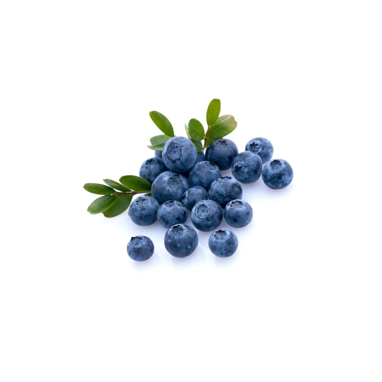 Blueberry (Box)