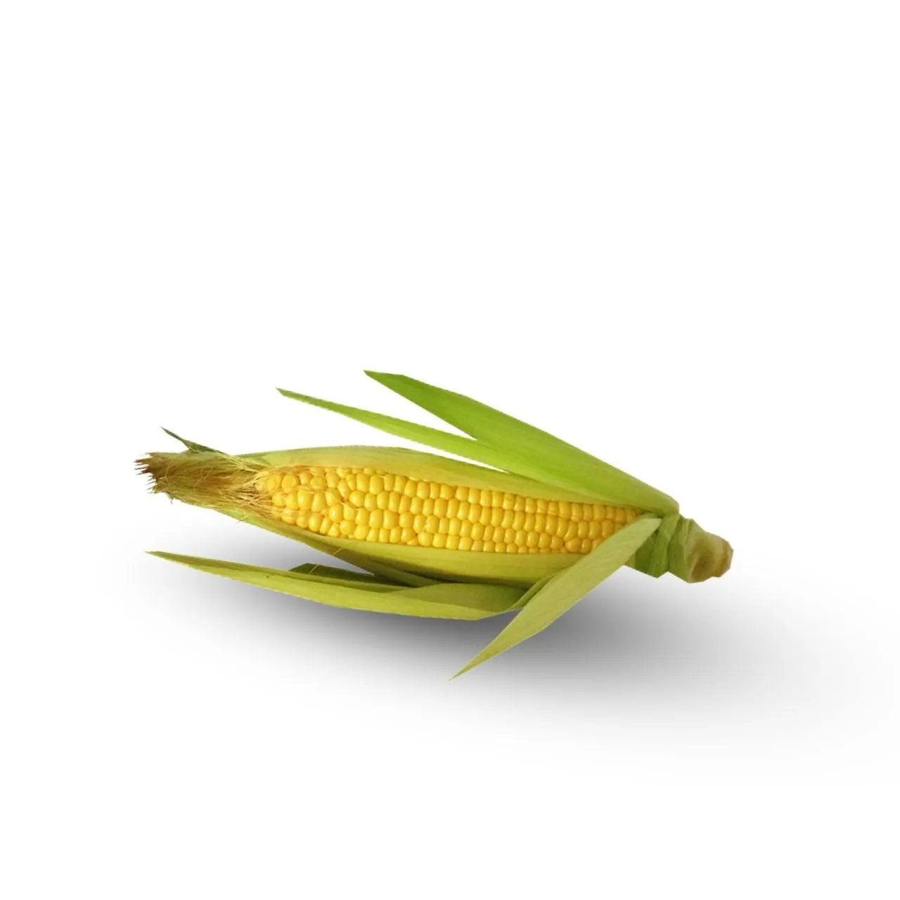 Sweet Corn 1 Piece