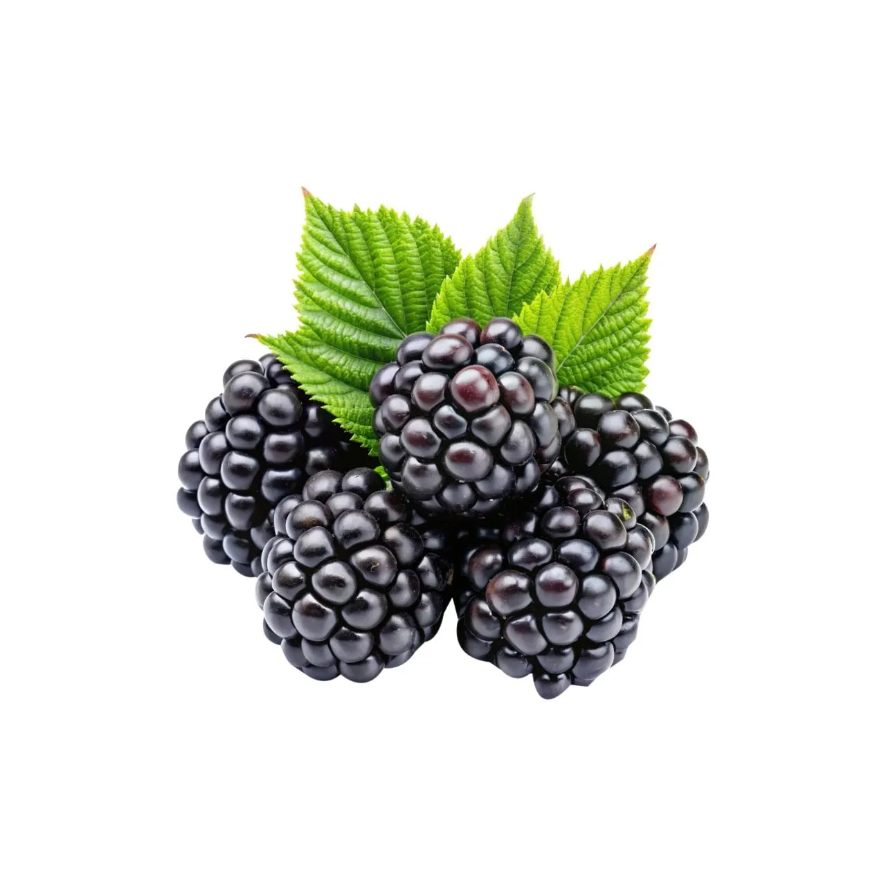 Black Berry 1 Box