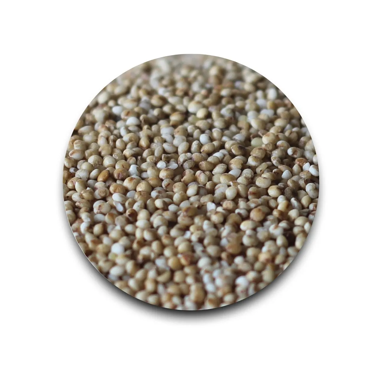 Kodo Millet - Harka |  Hand Pounded 500 gm
