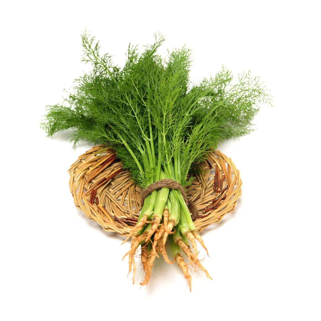Sabbasige/ Dill Leaves