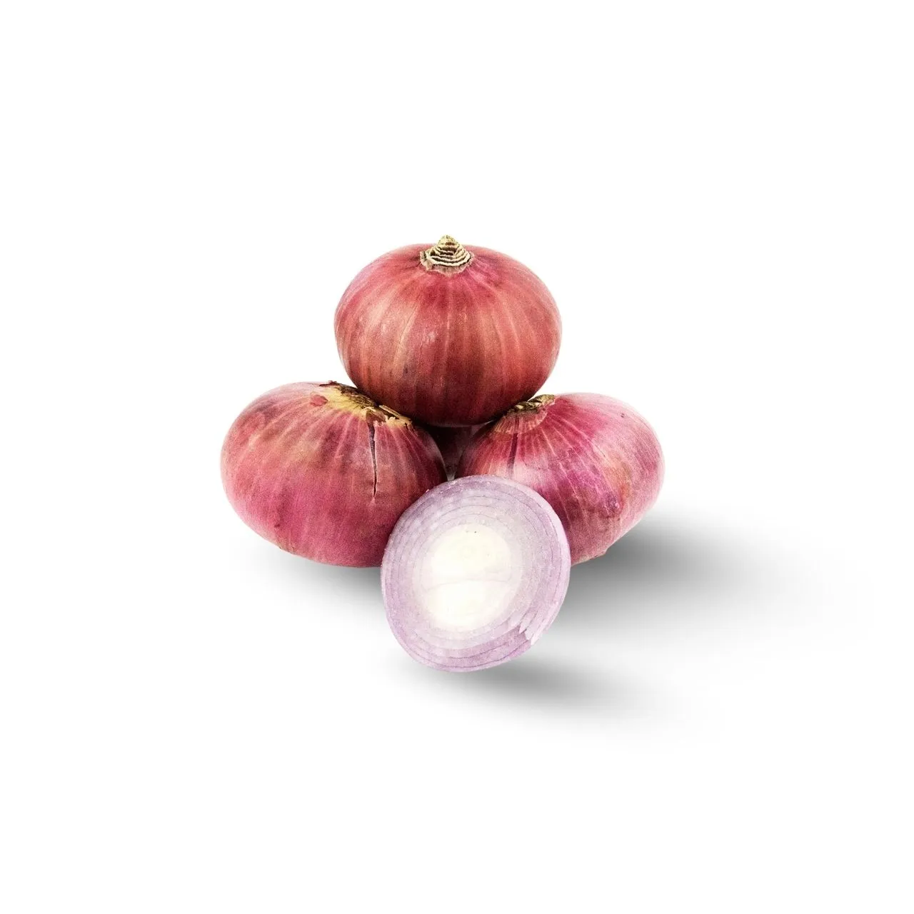 Onion