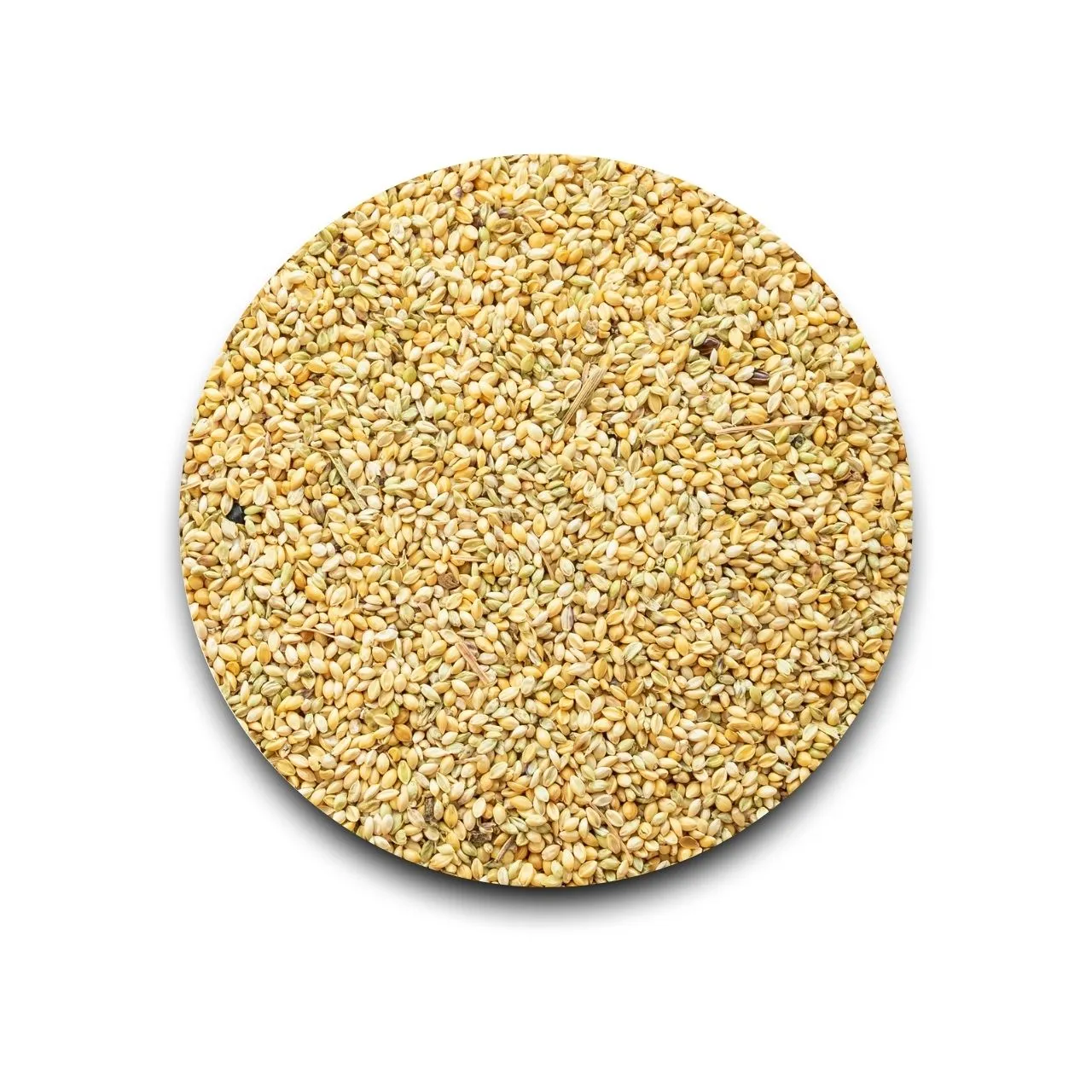 Little Millet | Same 500 gm