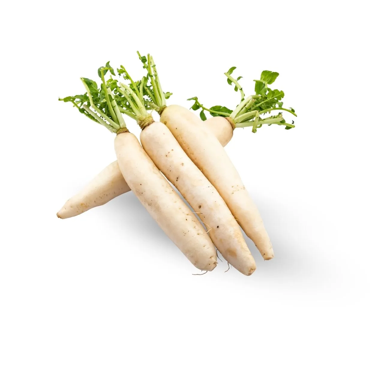 Radish 500 gm