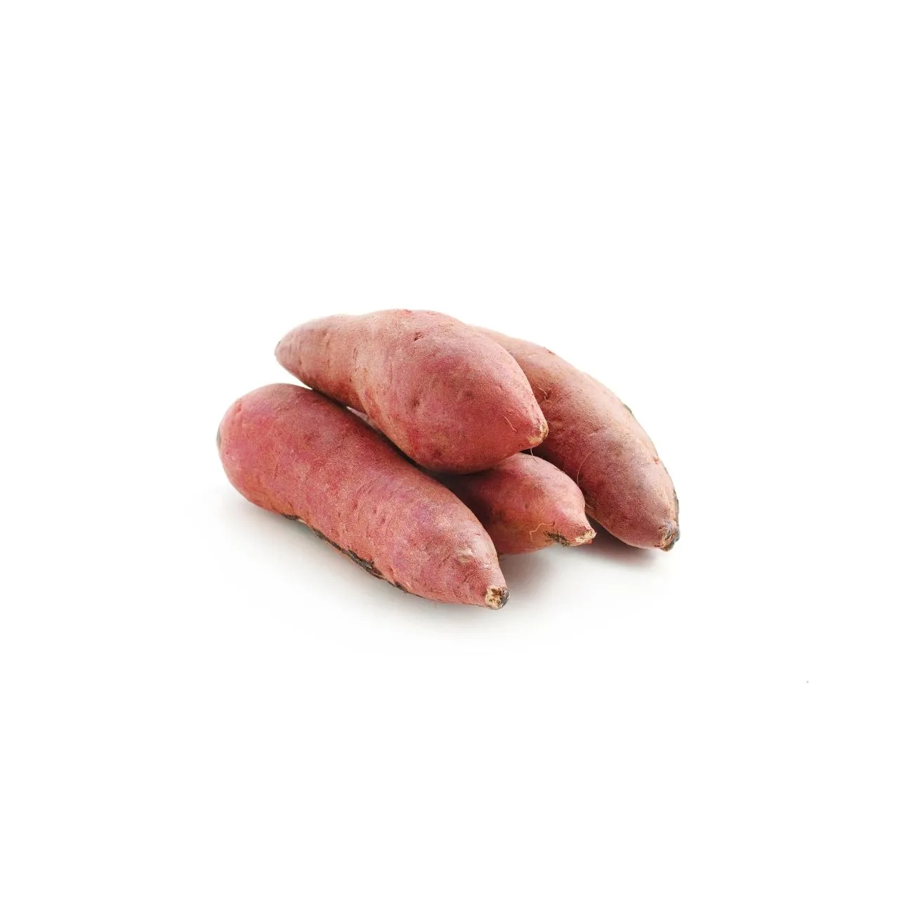 Sweet Potato
