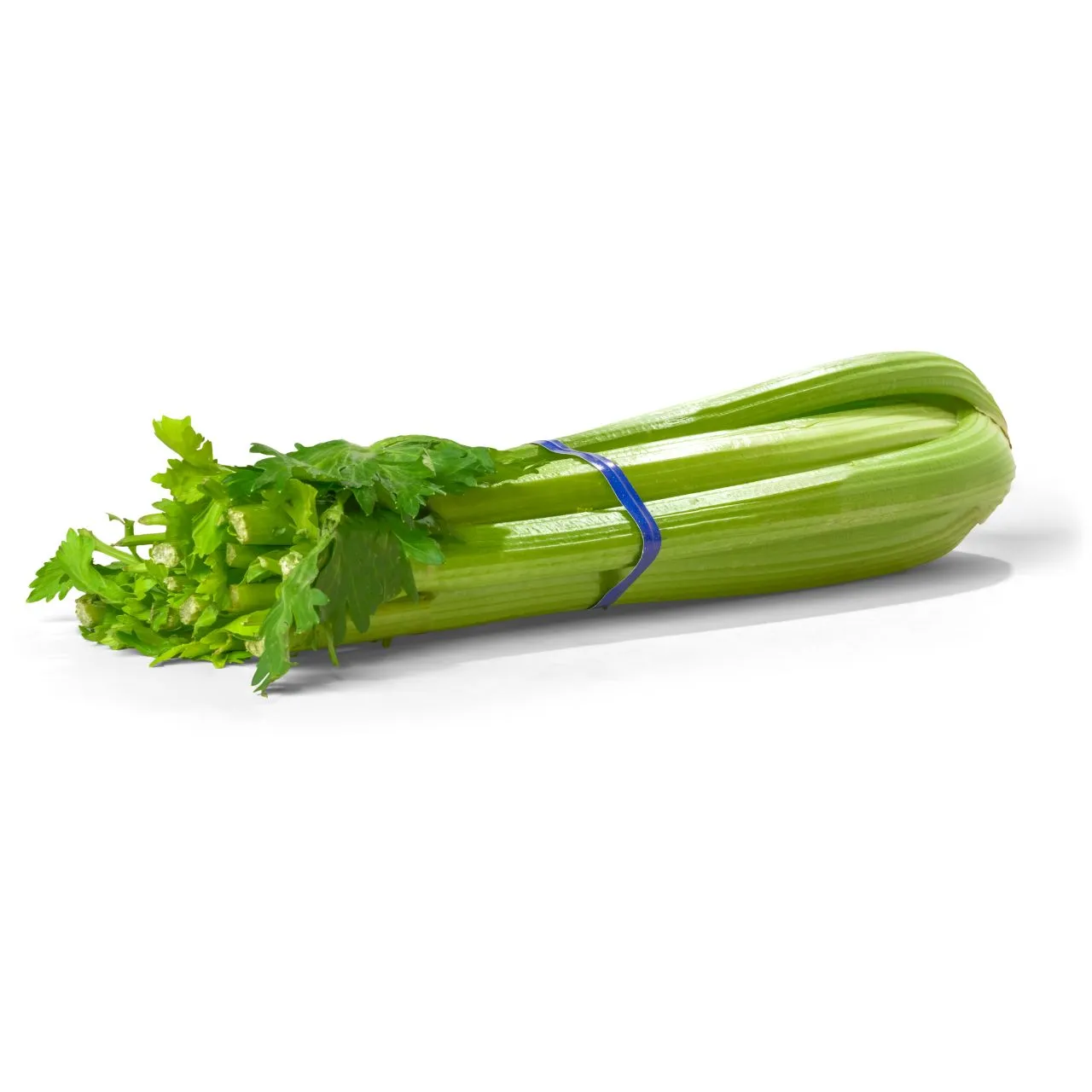 Celery