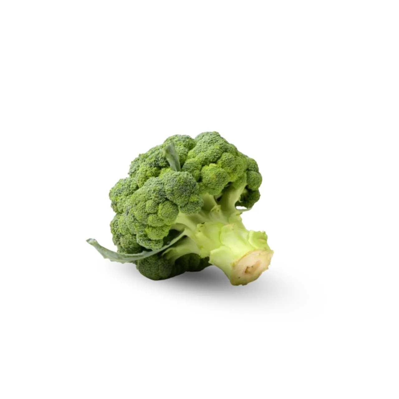 Broccoli