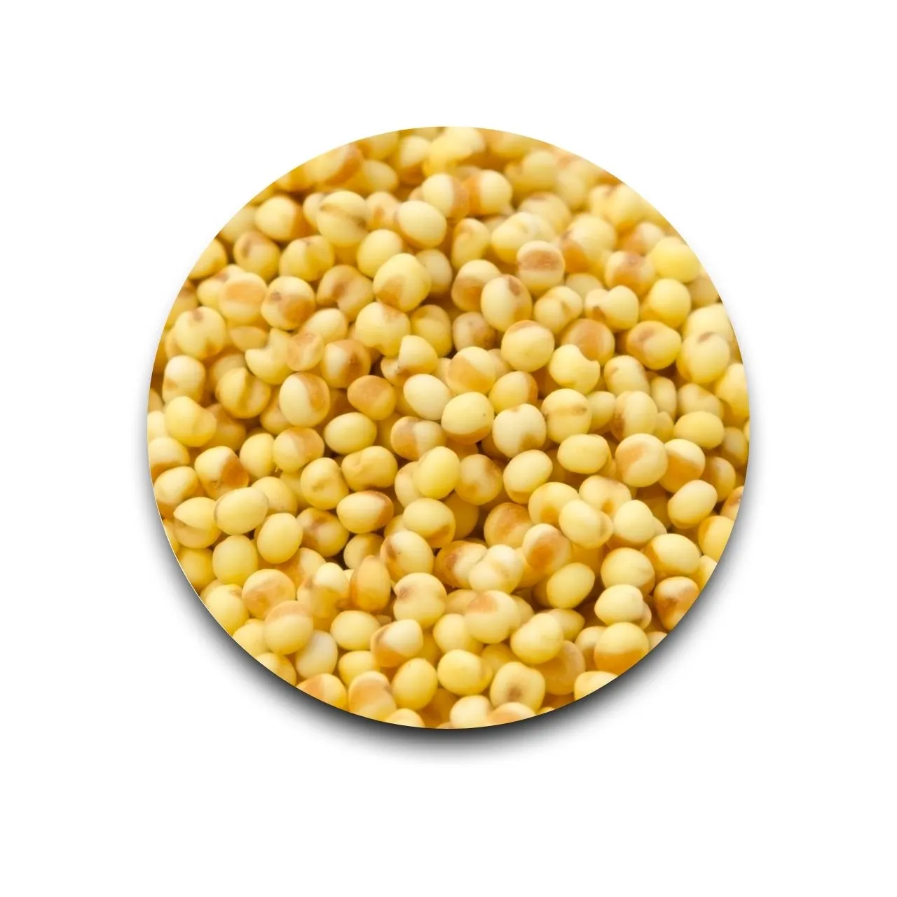 Foxtail Millet | Navane - 500 gm