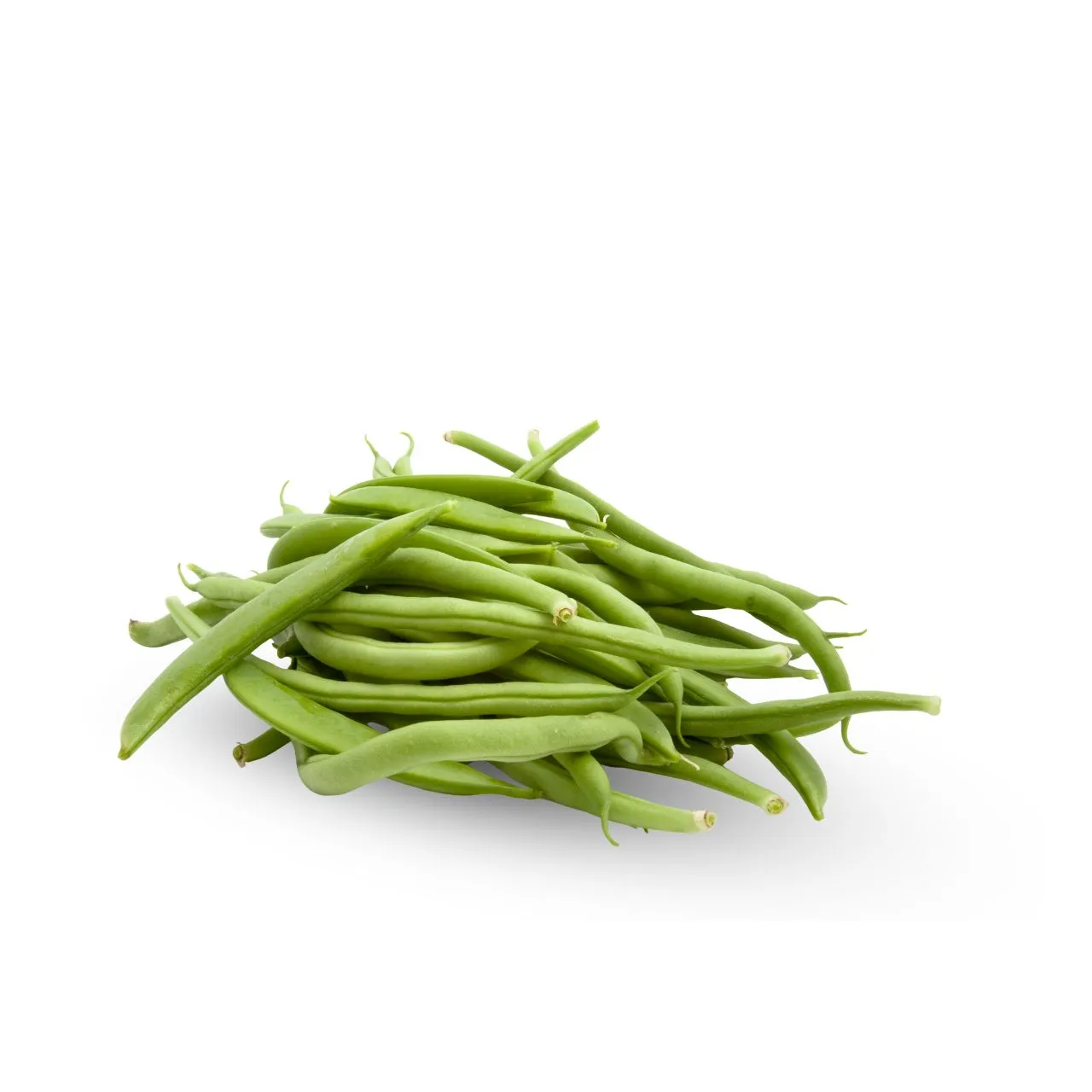 Beans Ring