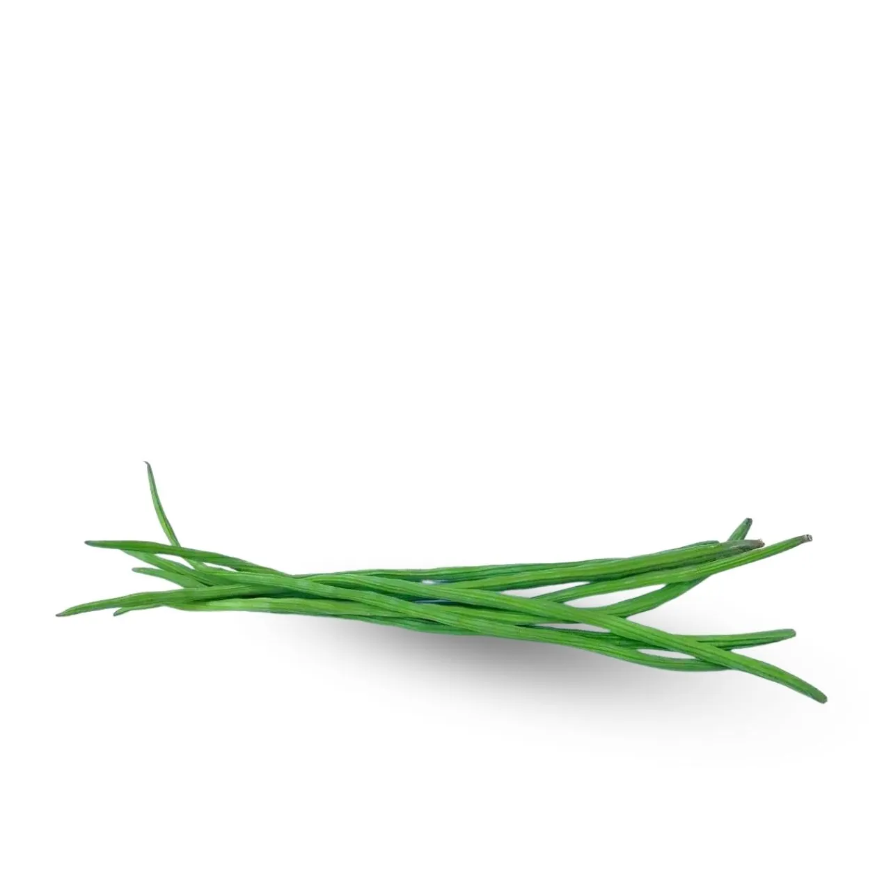 Drumstick 100 gm