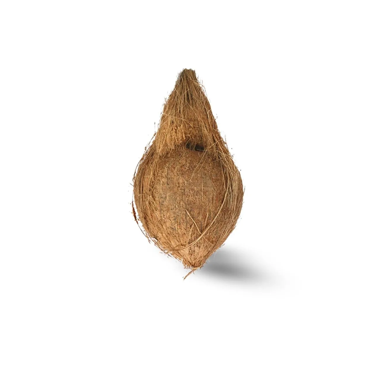 Coconut 1 Piece
