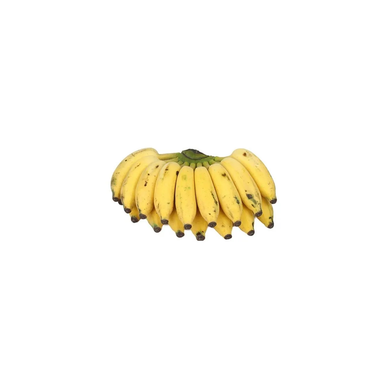 Banana Yelakki