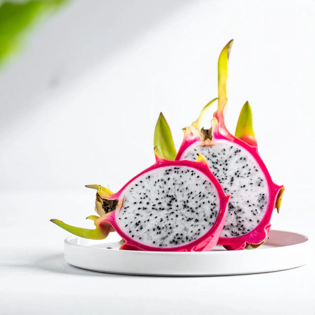 Dragon Fruit (White)