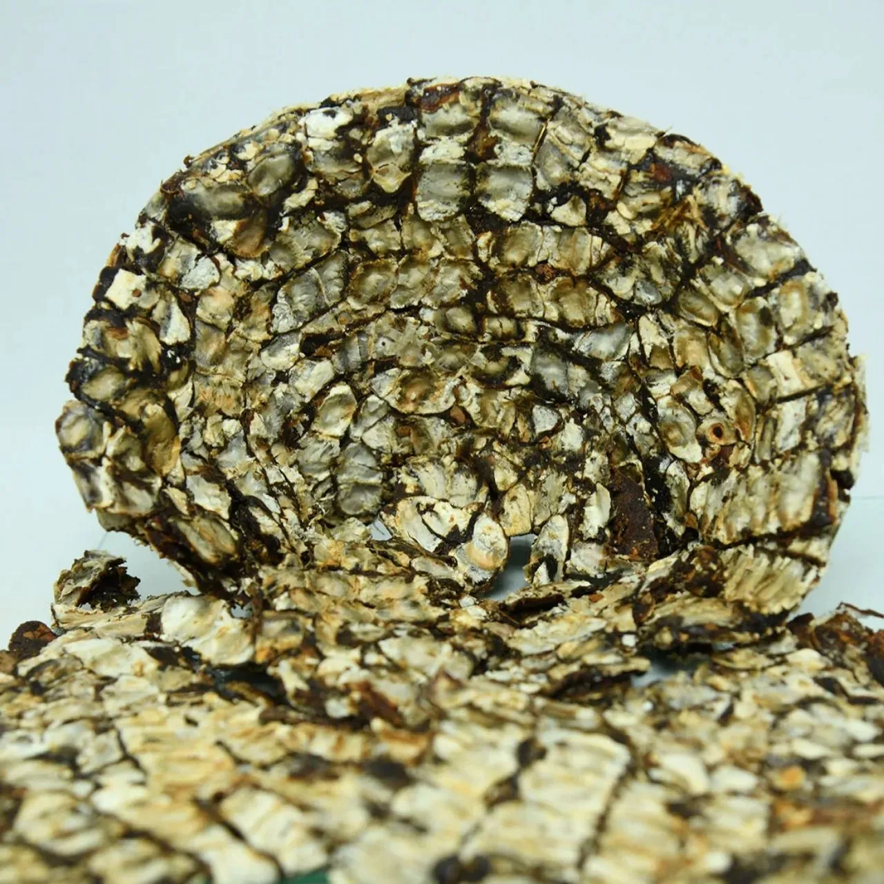 Tamarind 500 gm