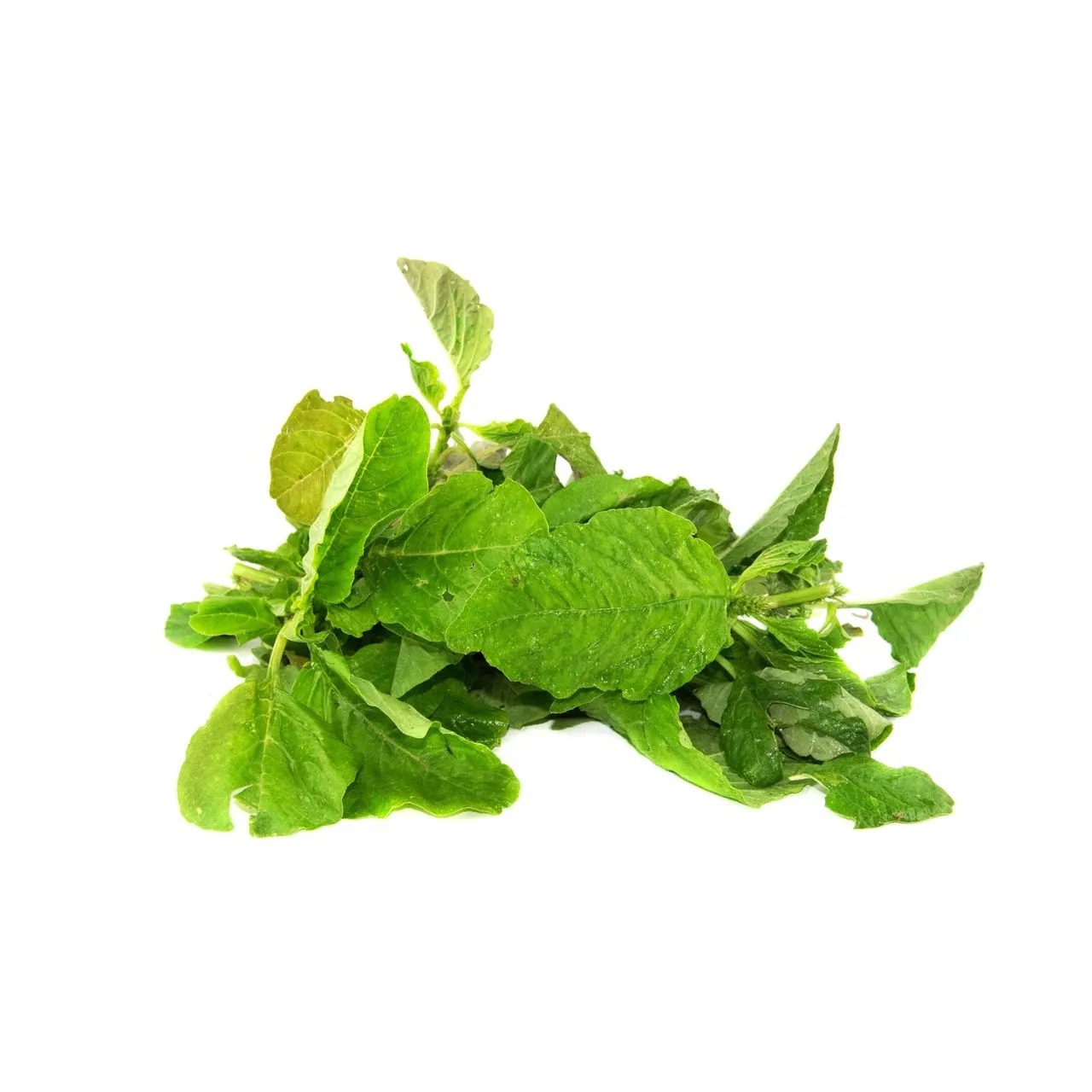 Dantu Amaranthus Green