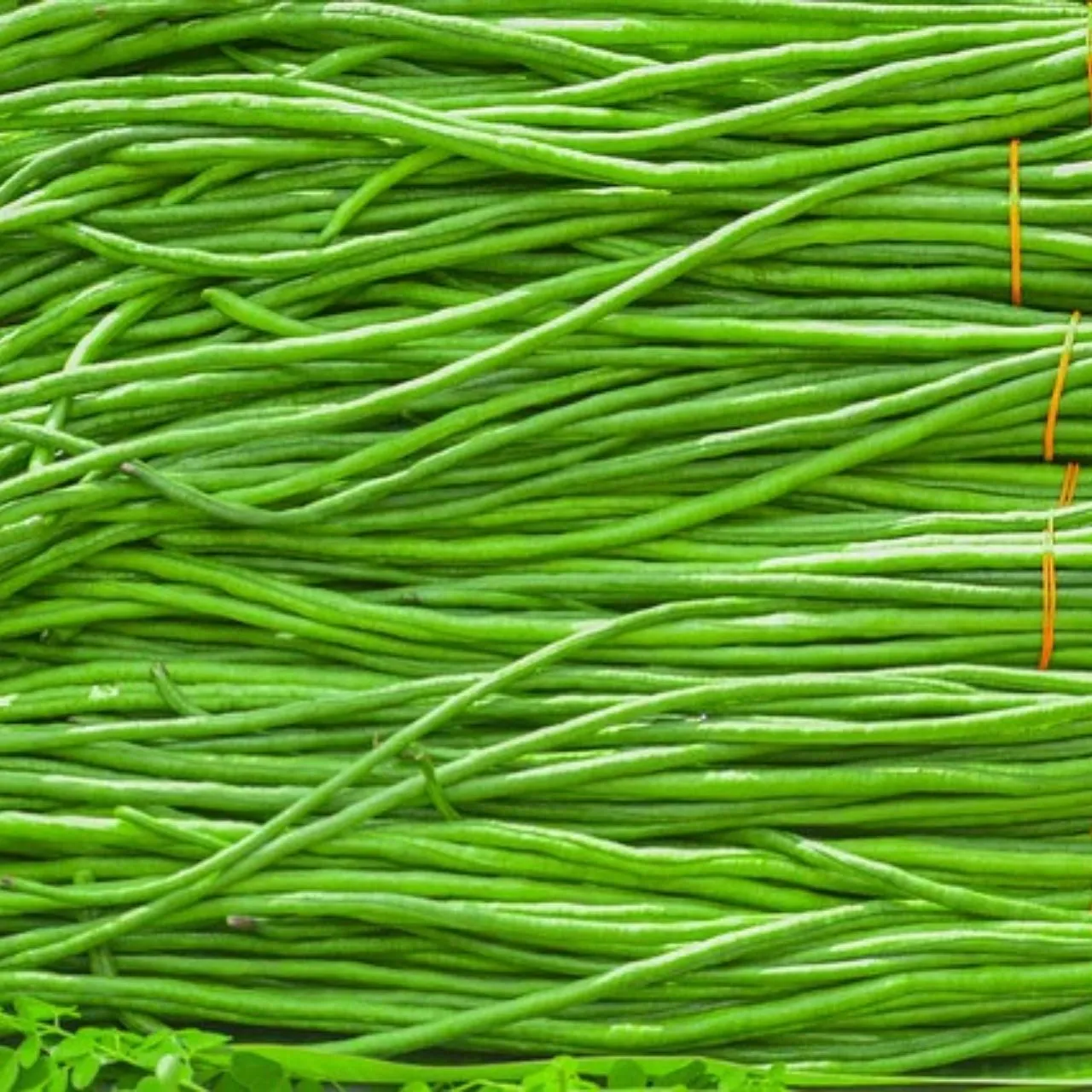 Beans Long 500 gm