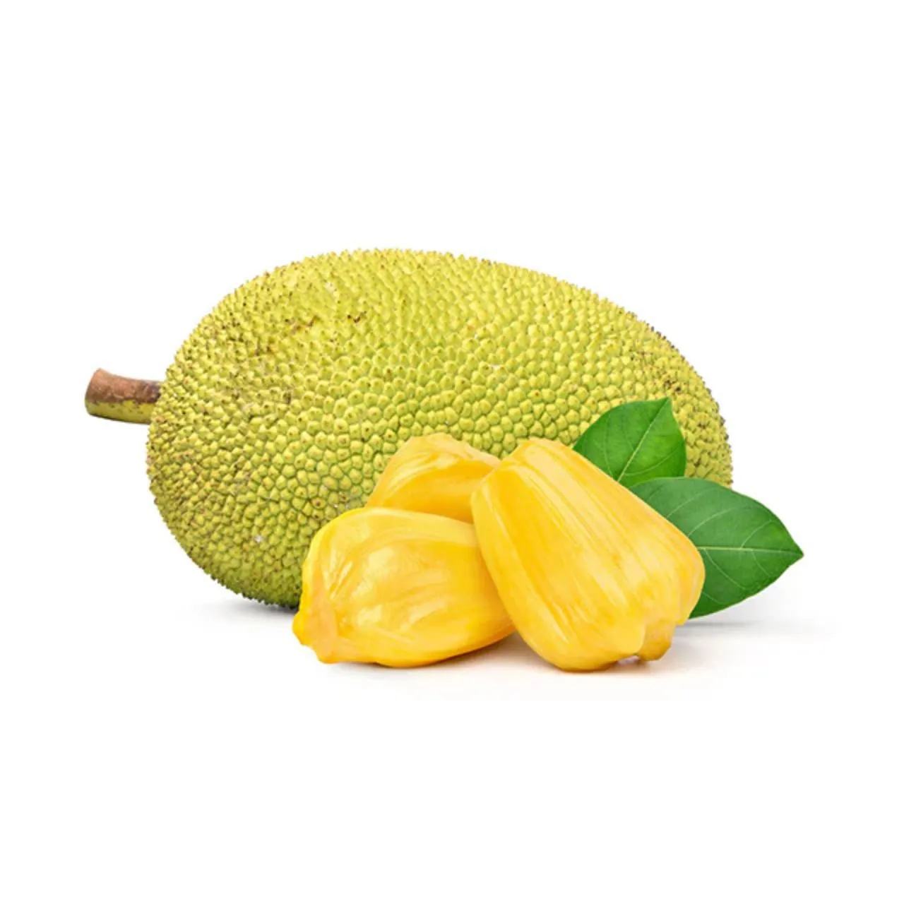 Jackfruit Whole Fruit