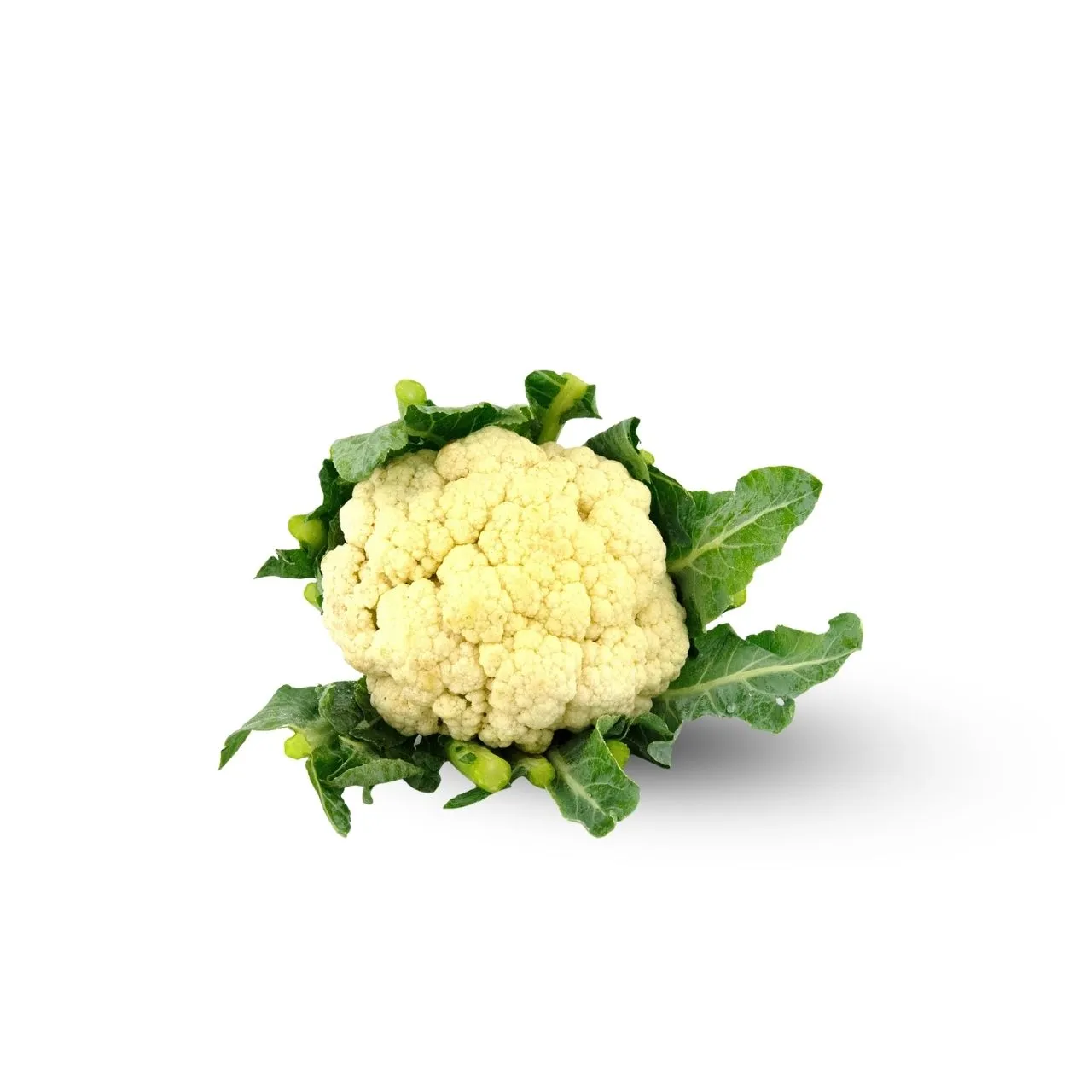 Cauliflower 1 Piece