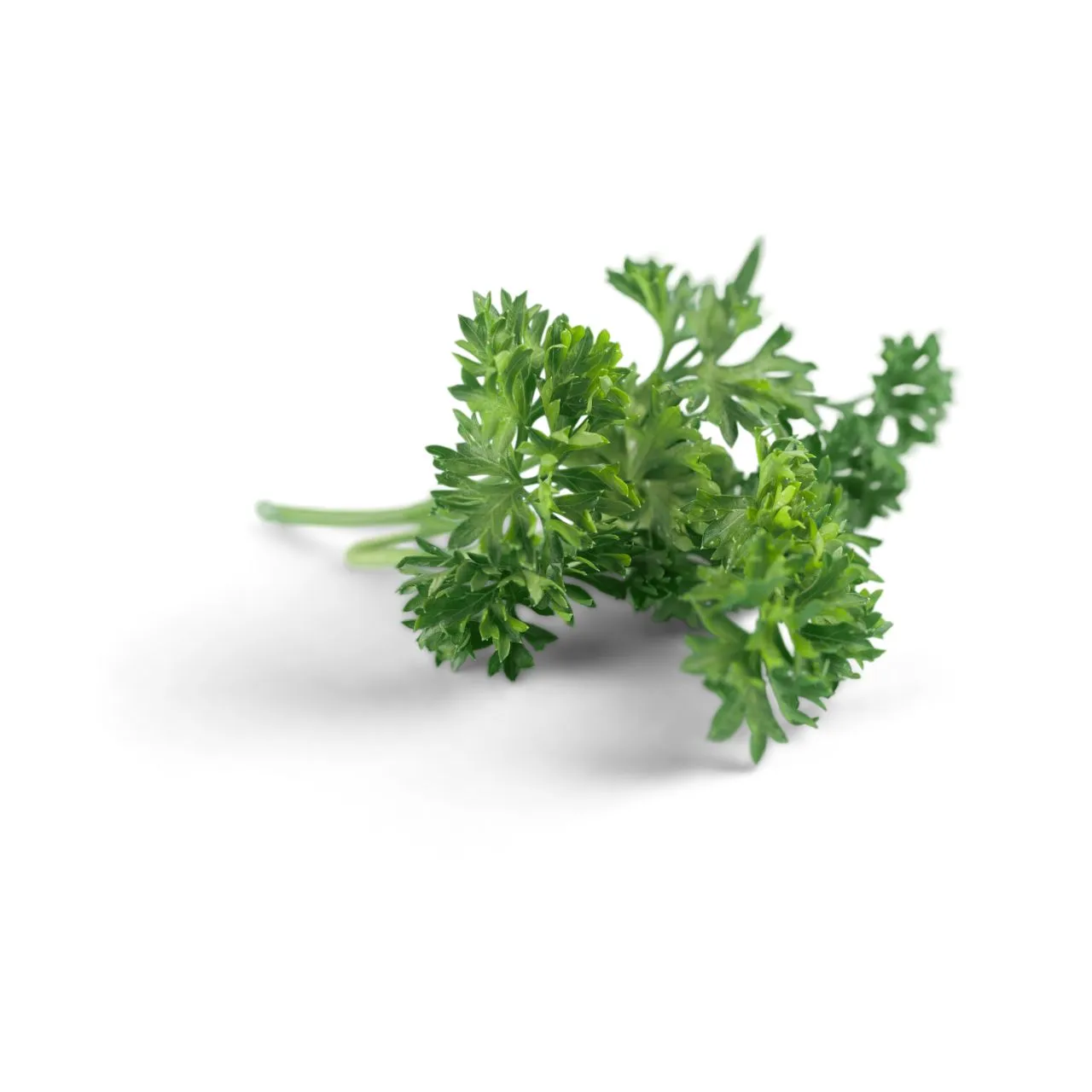 Parsley | Bunch