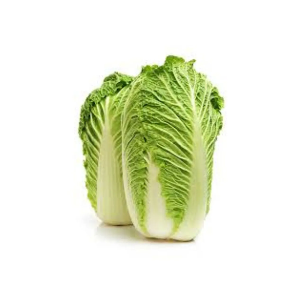 Chinese Cabbage