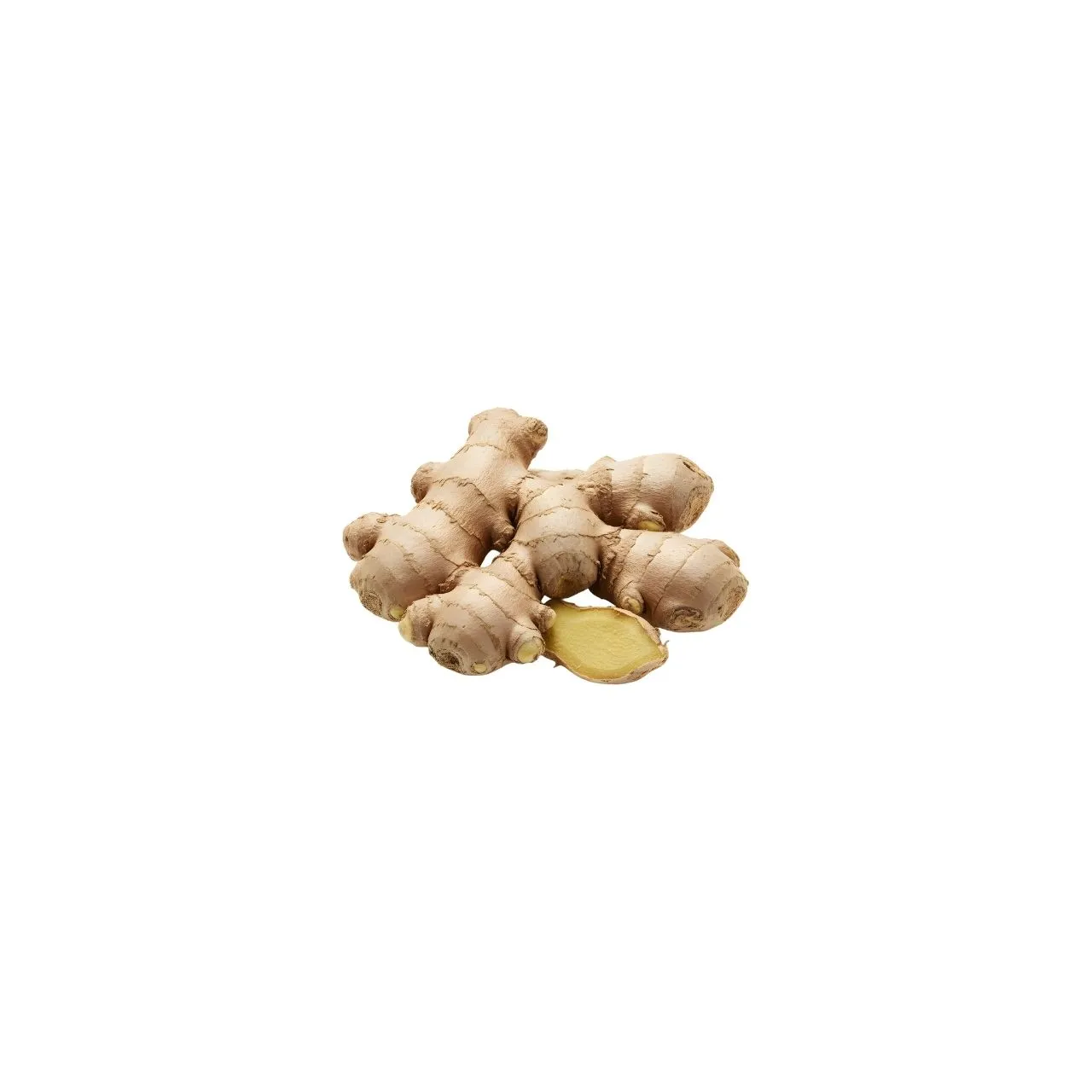 Ginger (New)