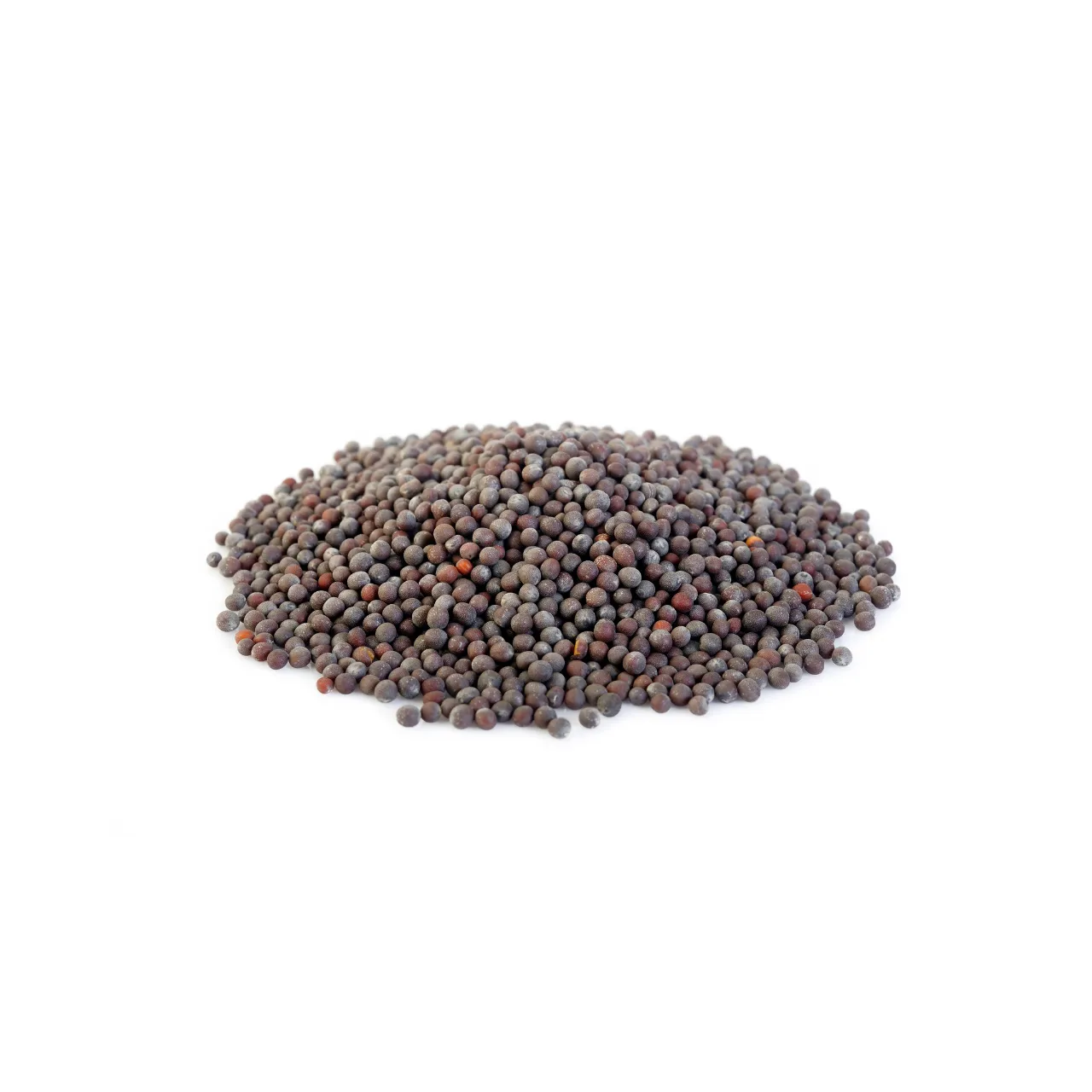Mustard Black 100 gm