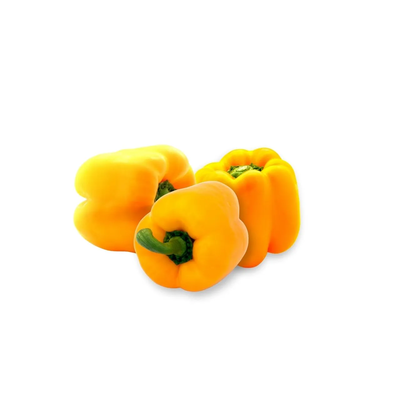 Capsicum Yellow