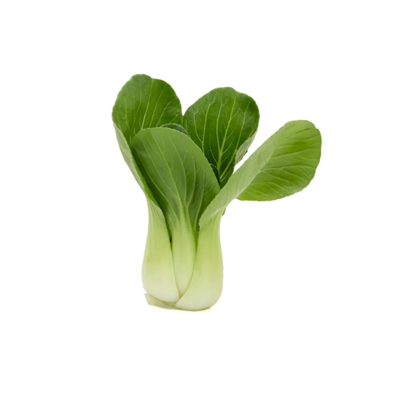 Bok Choy