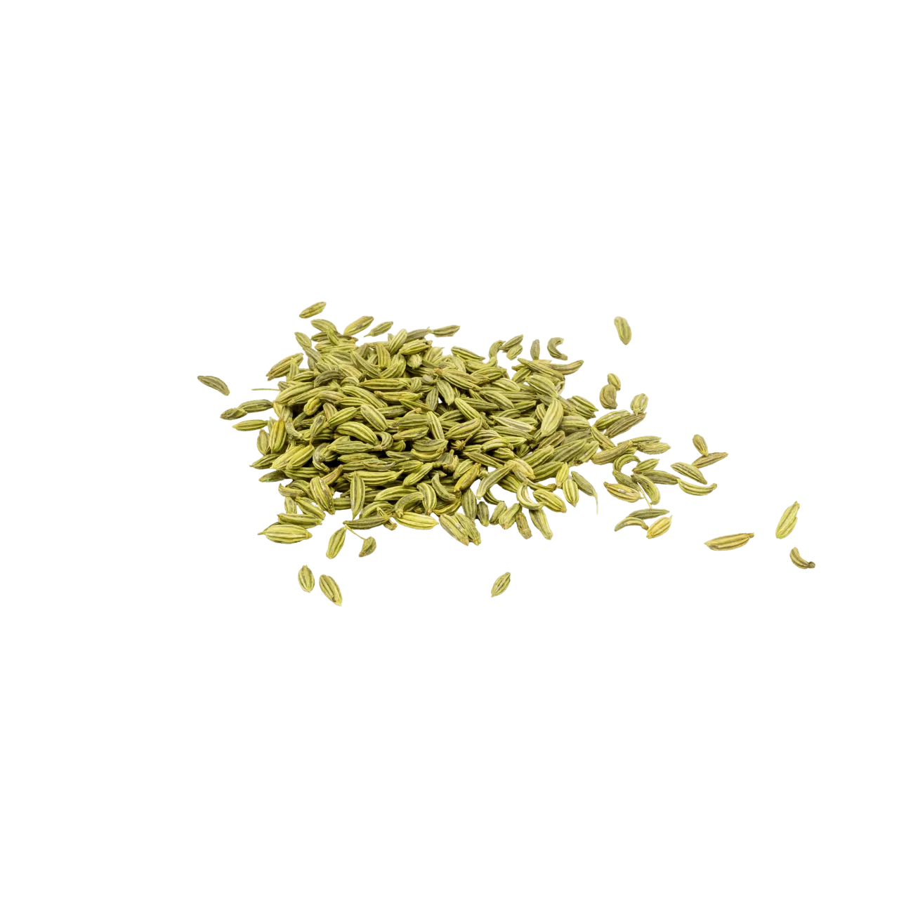 Fennel Seeds 100 gm