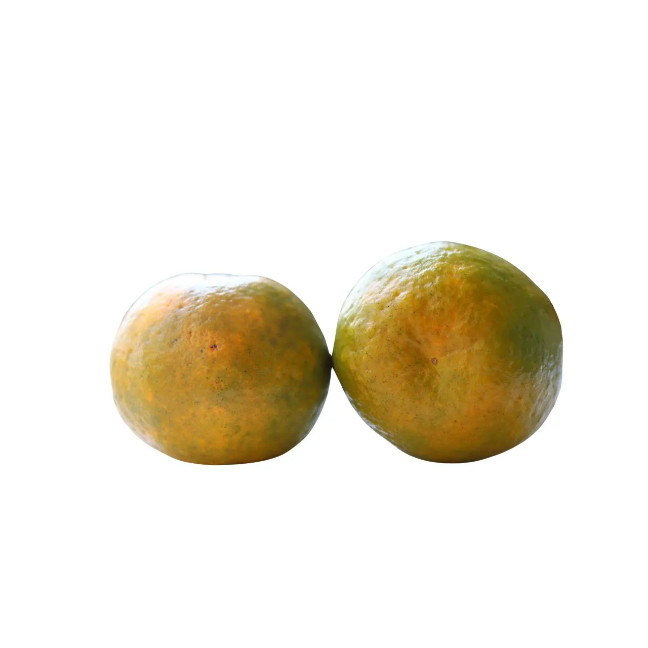 Orange - Nagpur