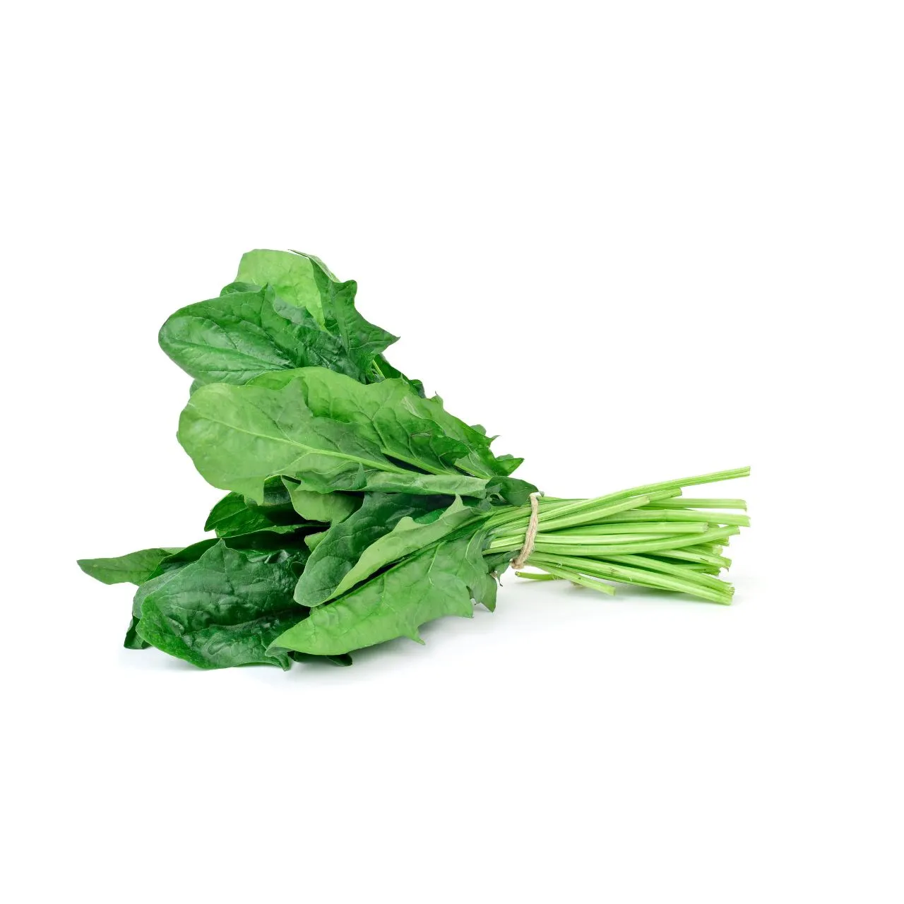 Palak / Spinach | 1 Bunch