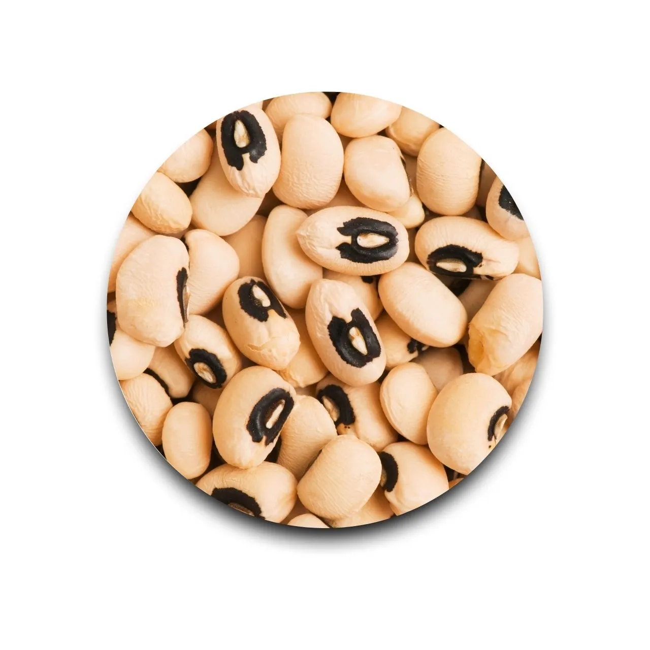Cowpea White 500 gm