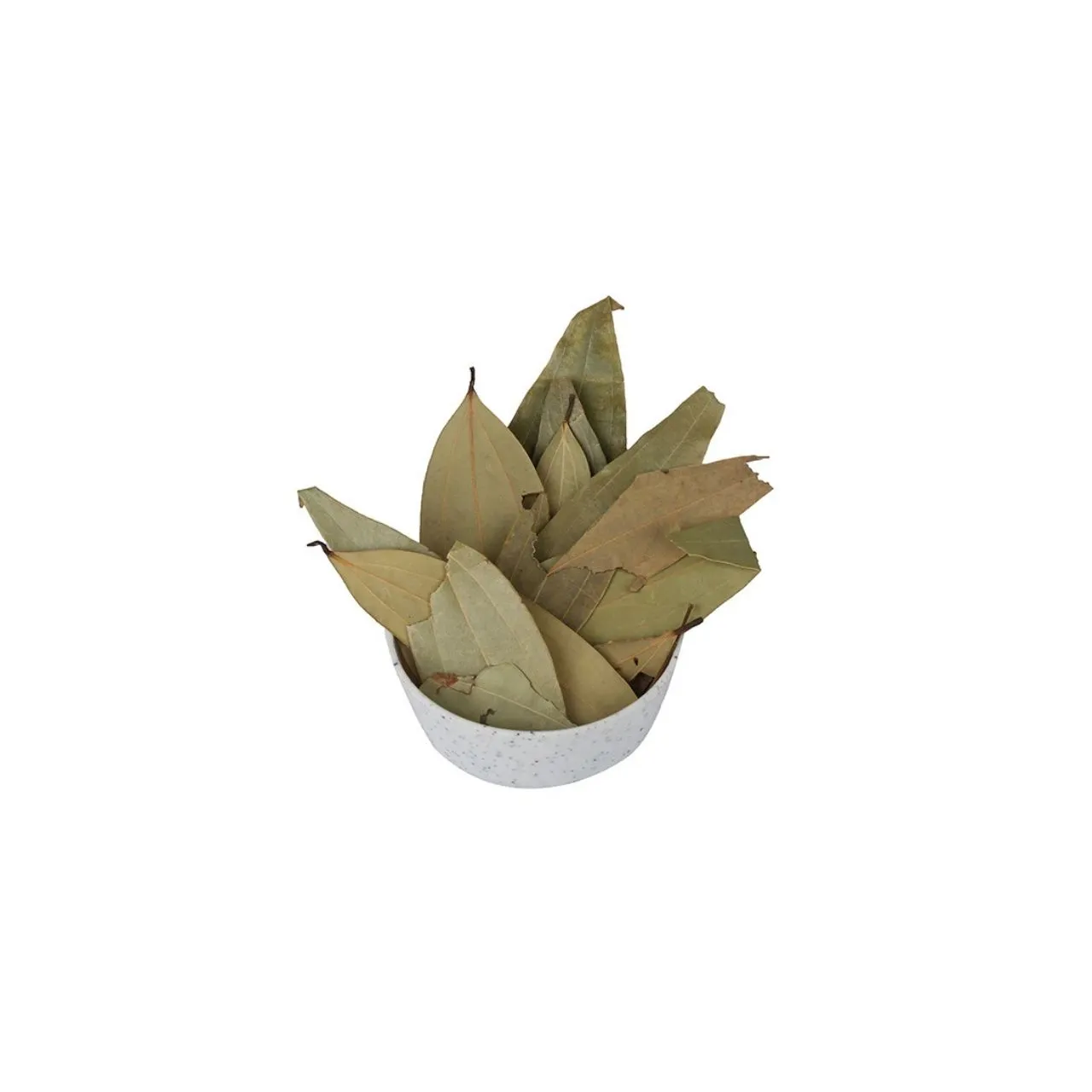 Bay Leaf
