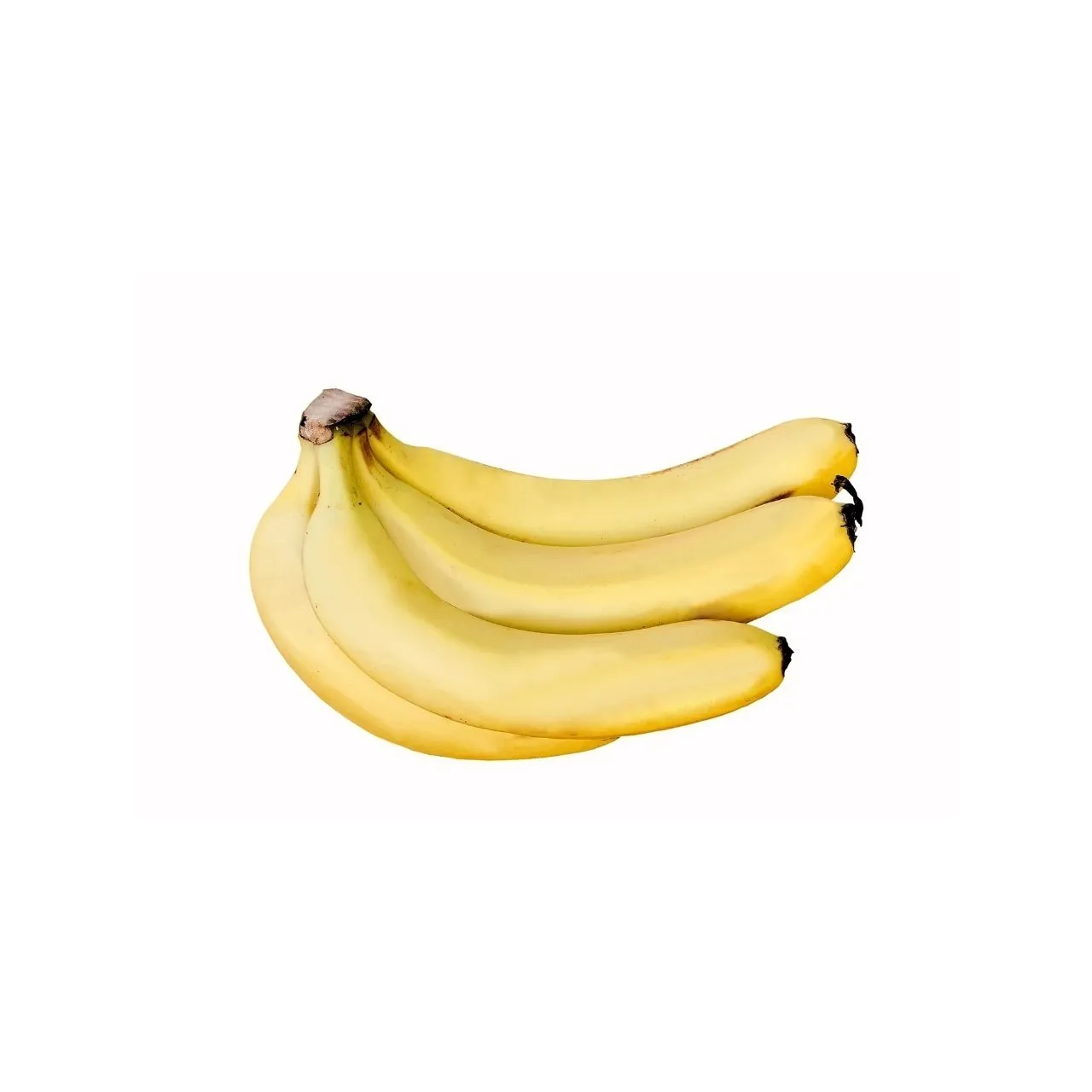 Banana Robusta / Pachabale