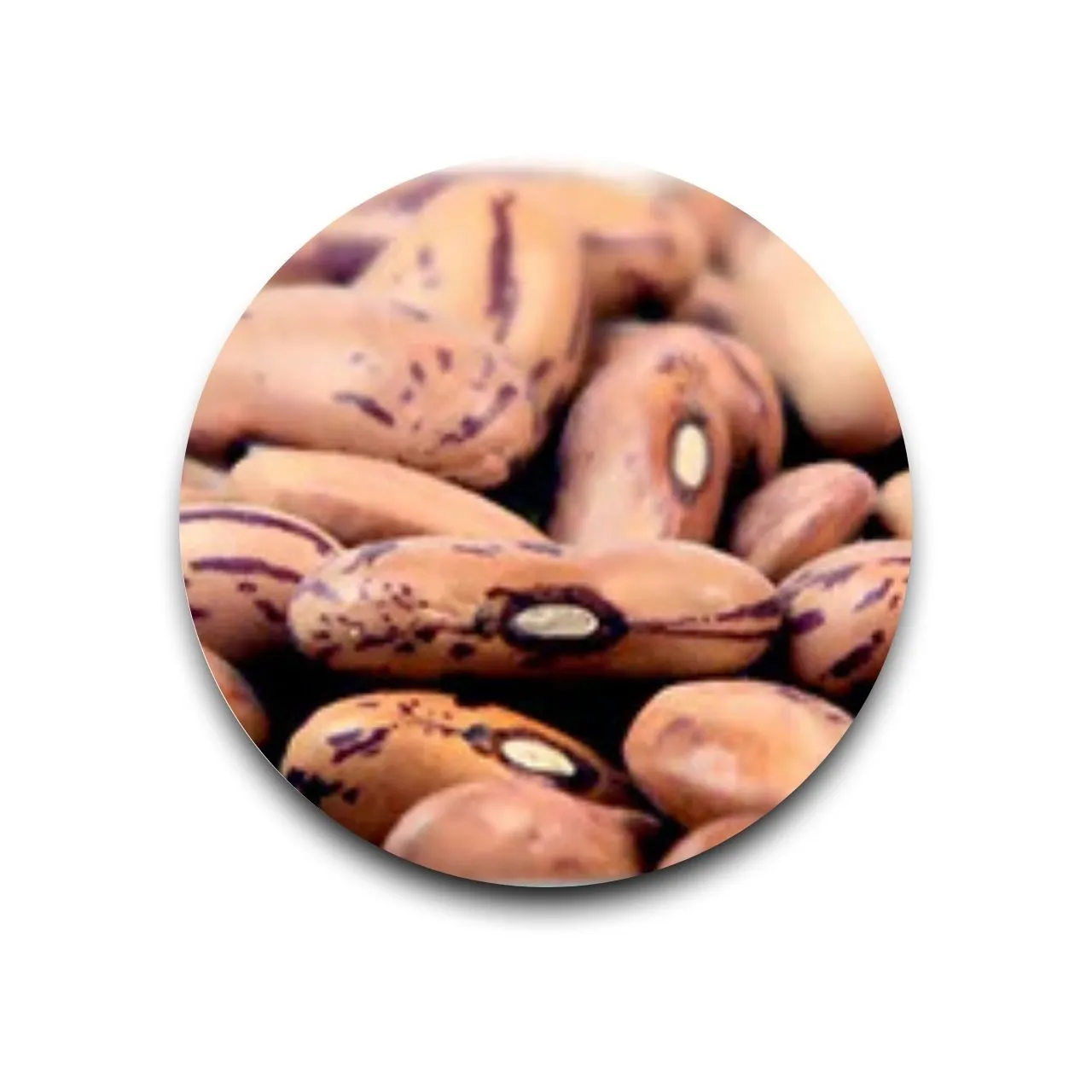 Rajma Chitra 500 gm