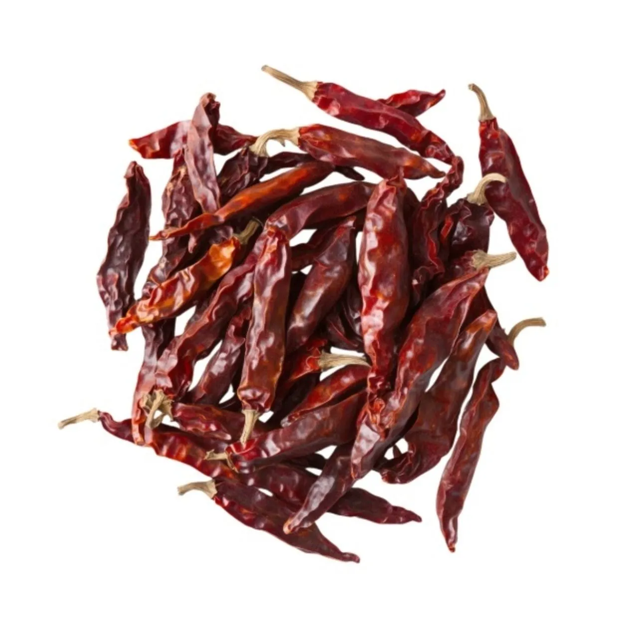 Chilli Guntur