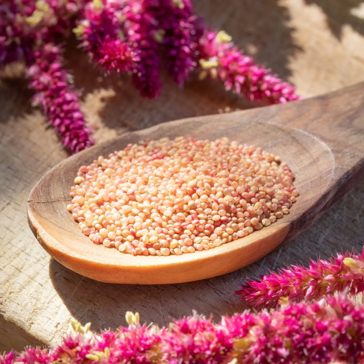 Amaranthus Seeds 100g