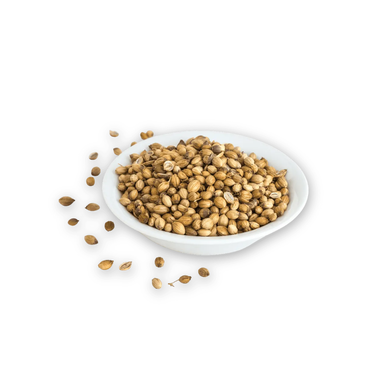 Coriander Seeds - Dhania Whole  250 gm